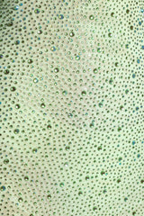 Embellished Long-Sleeve Fishtail Maxi Dress in Pistachio