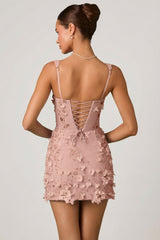 Embellished Appliqué Corset Mini Dress in Dusty Rose